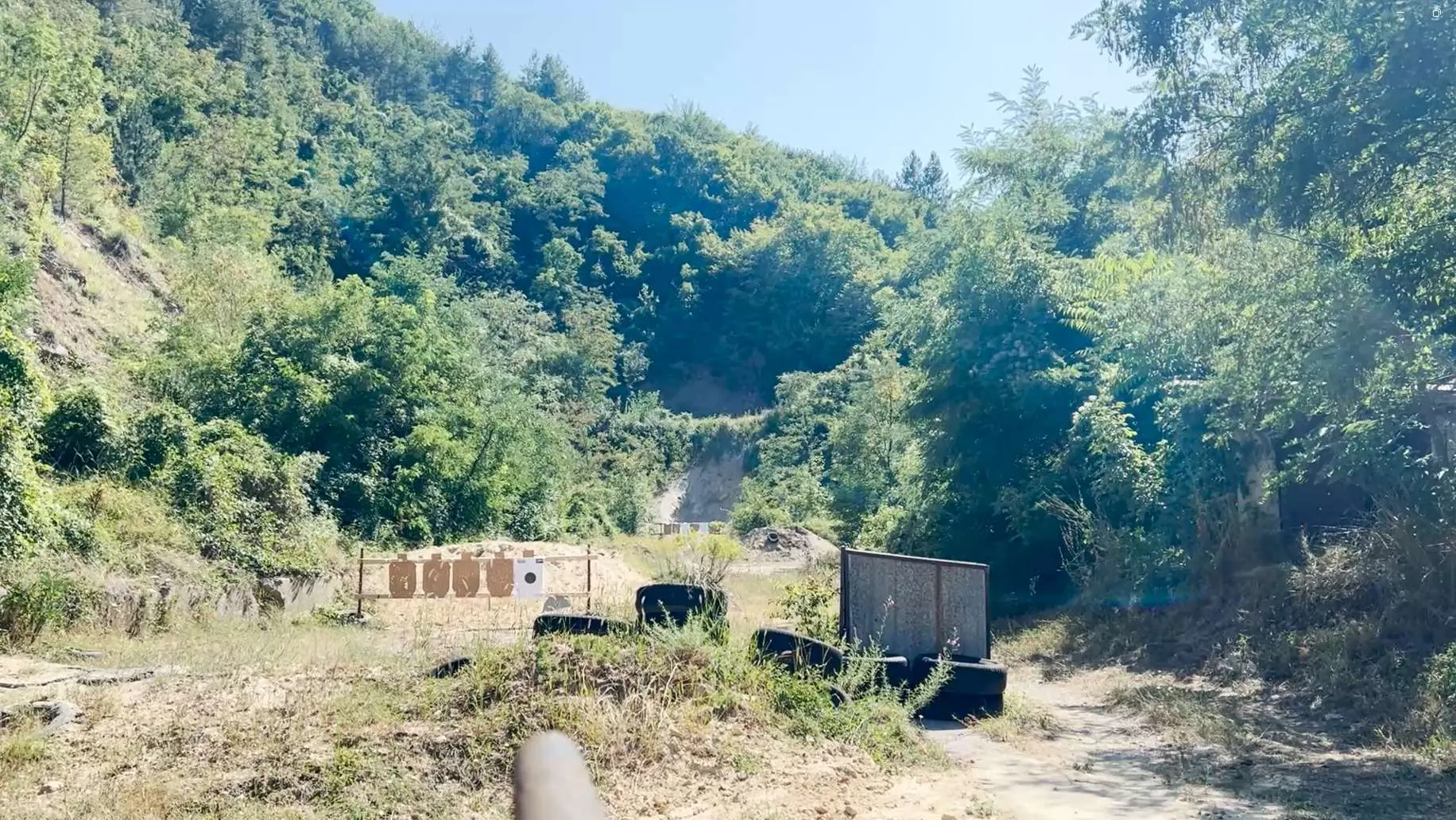 Running boar target